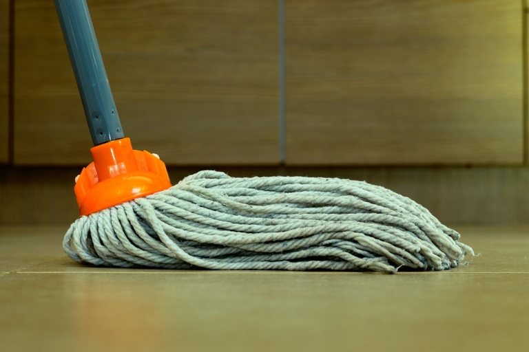 Wet Mops Dust Tex